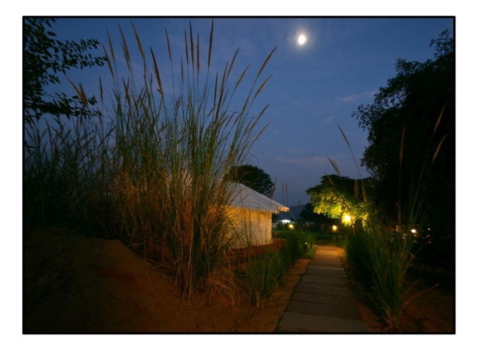 The Shergarh Saváj Madhopur Kültér fotó